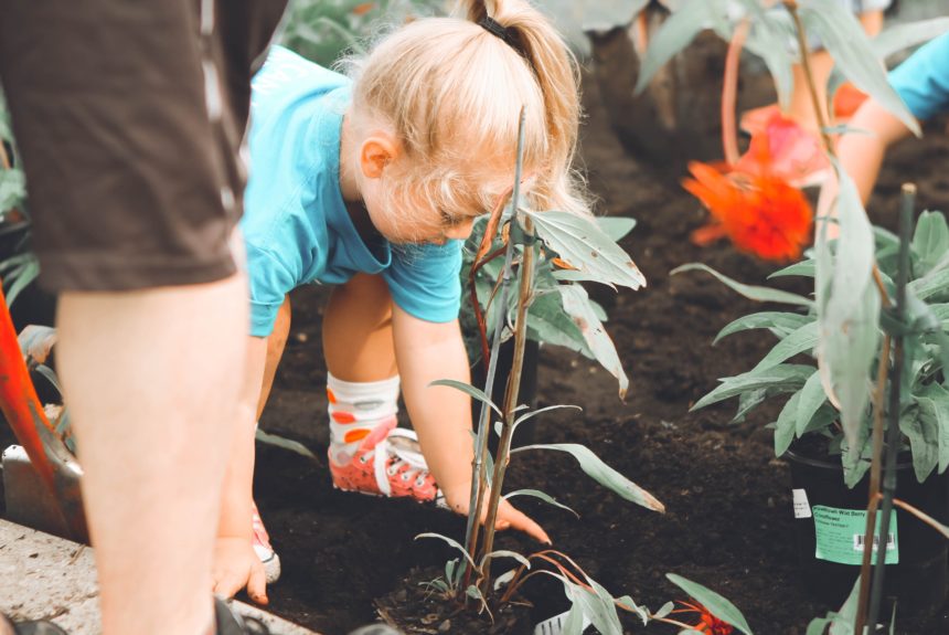 little girl planting flowers in garden